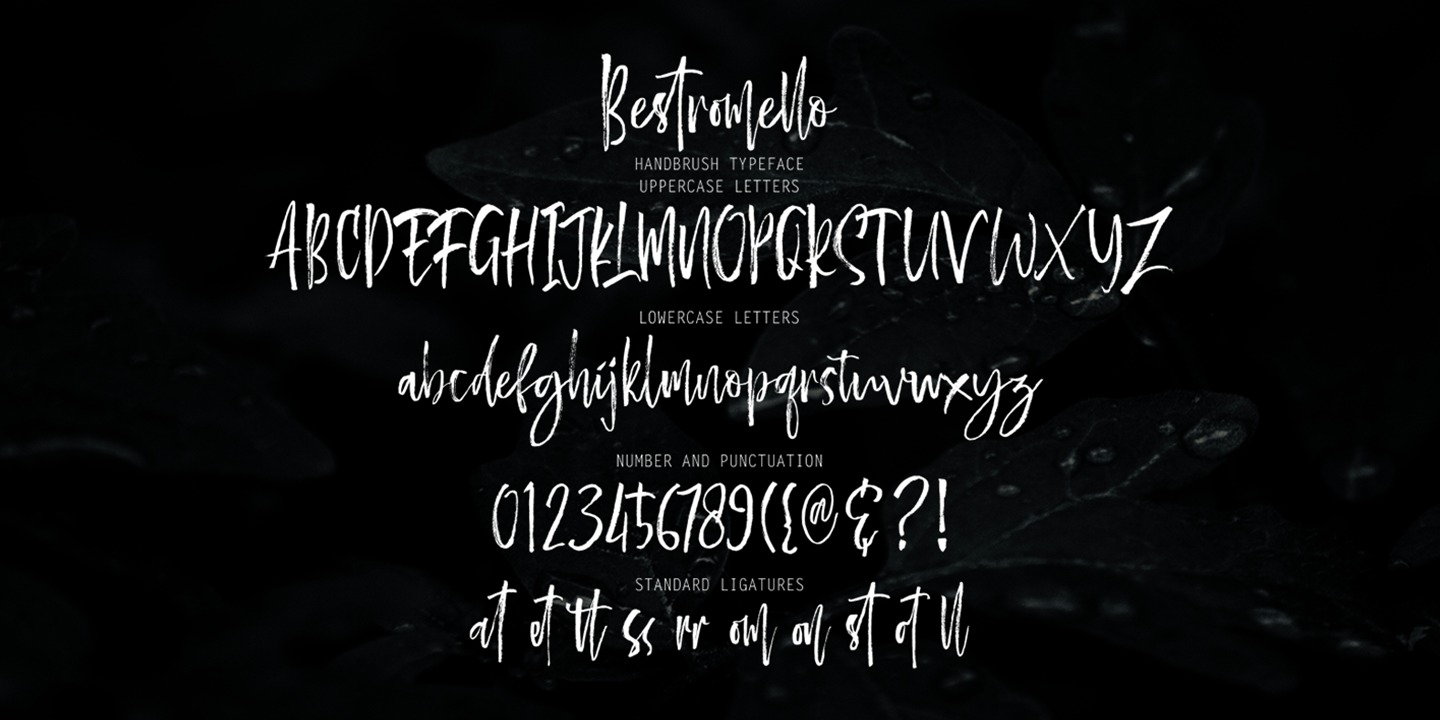 Ejemplo de fuente Bestromello Script #2